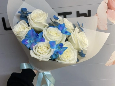 Облако нежности