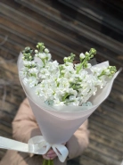 Шикарная Маттиола 0