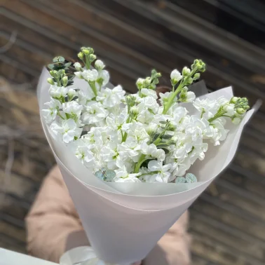 Шикарная Маттиола