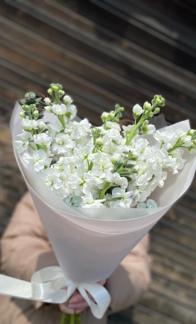 Шикарная Маттиола