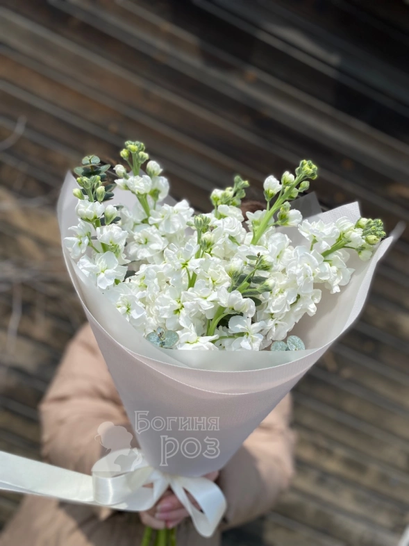 Шикарная Маттиола