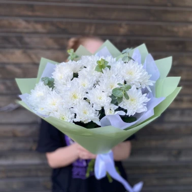 Хризантема кустовая