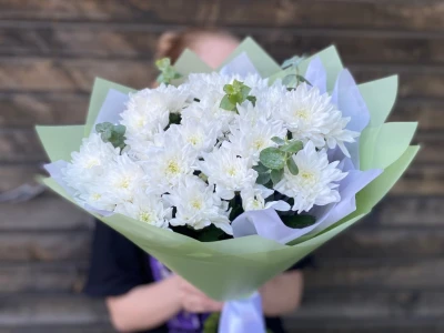 Хризантема кустовая