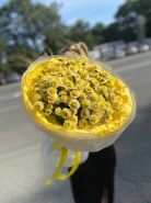 Много солнышек 0