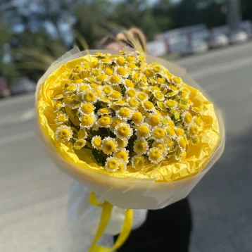 Много солнышек