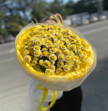 Много солнышек