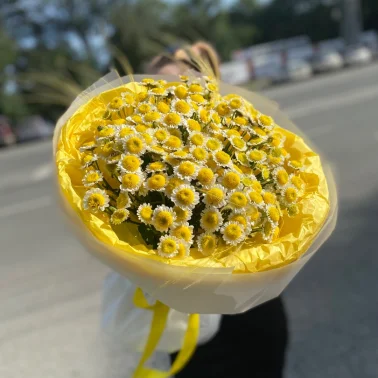 Много солнышек