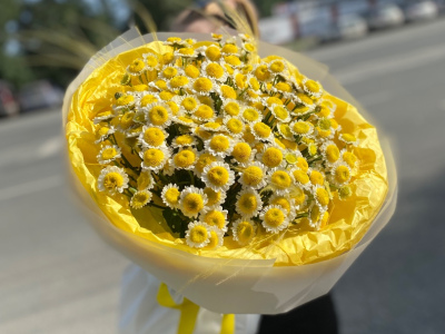 Много солнышек