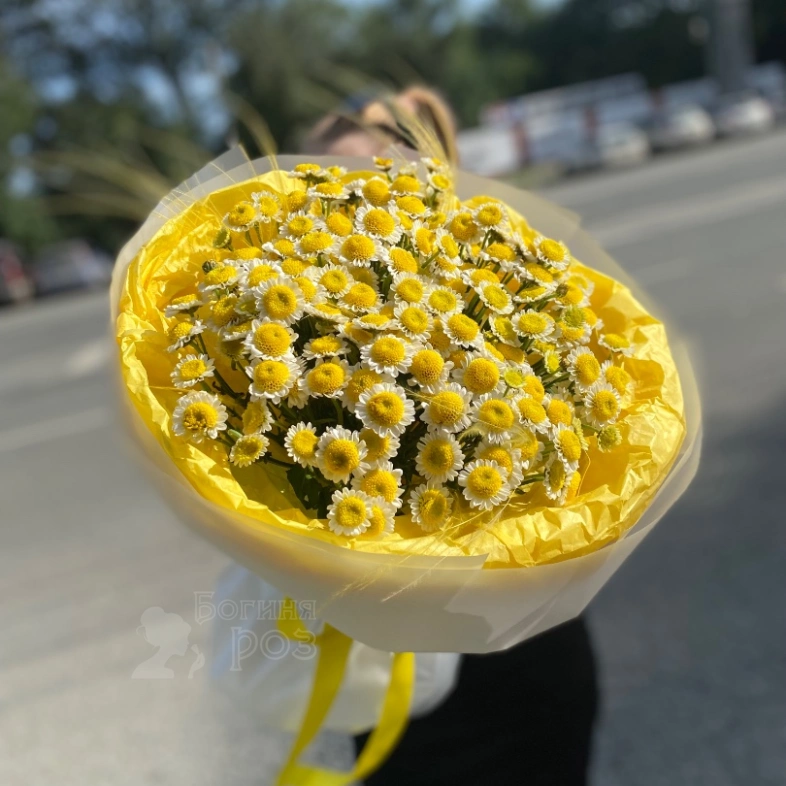 Много солнышек