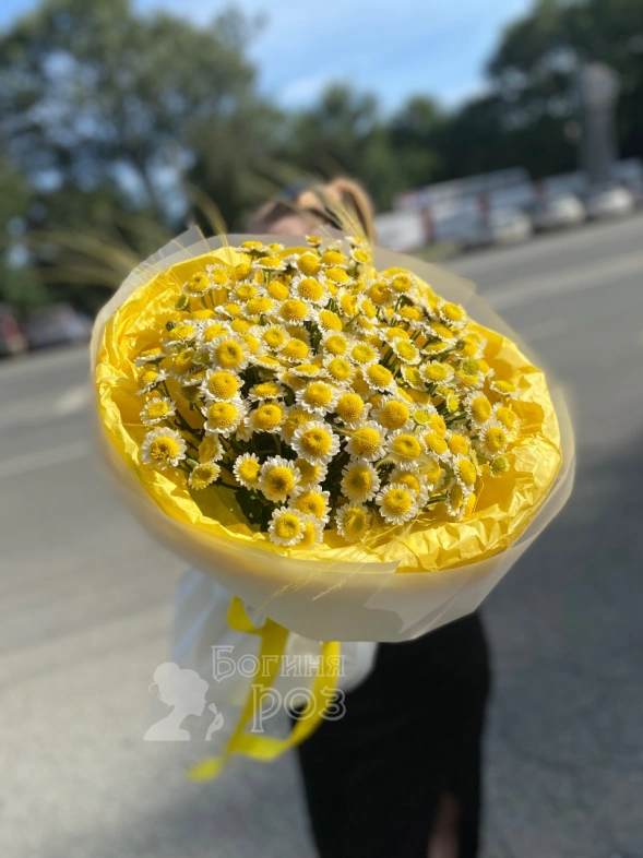 Много солнышек