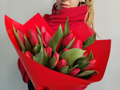 Тюльпаны 19 Шт красные