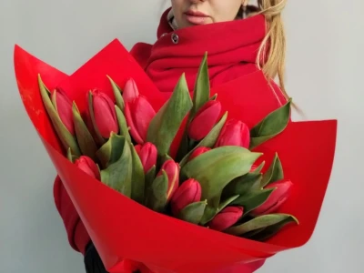 Тюльпаны 19 Шт красные