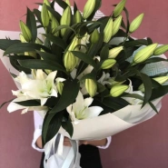 Утро ясное 0