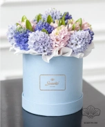 Гиацинты в коробке 0