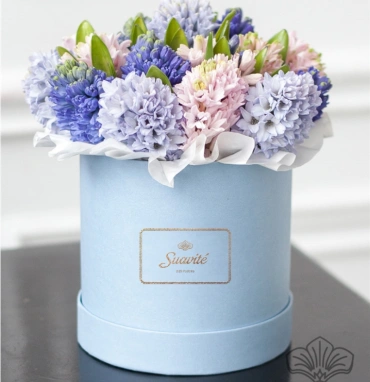 Гиацинты в коробке