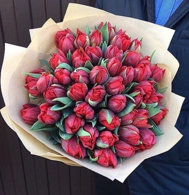 Тюльпан пионовидный страсть