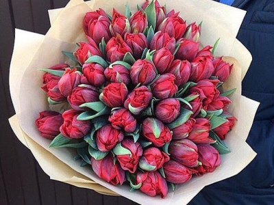 Тюльпан пионовидный страсть