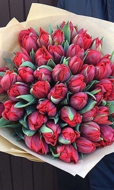 Тюльпан пионовидный страсть