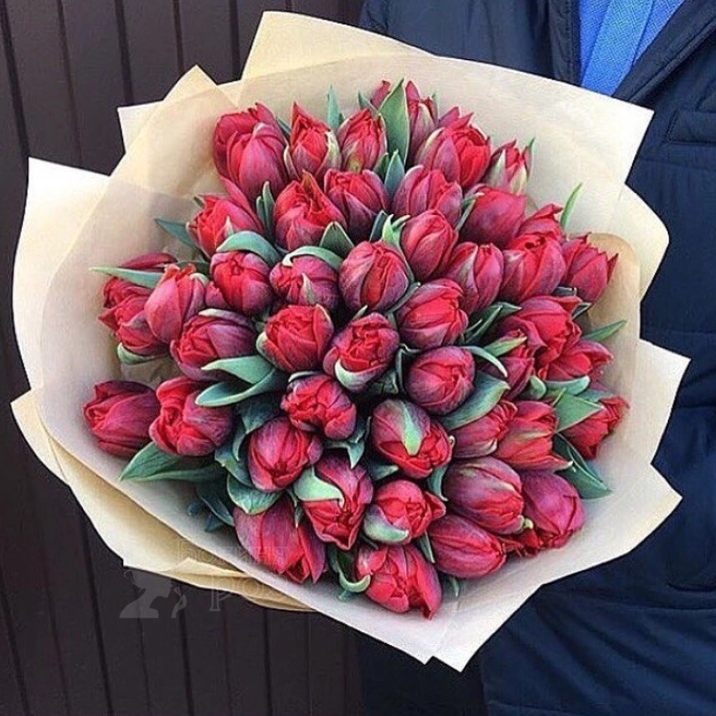 Тюльпан пионовидный страсть