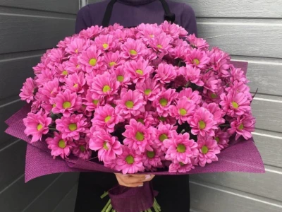 Букет хризантем