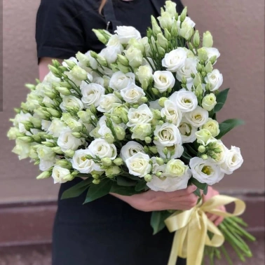 Белый пепел