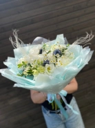 Пионамания 0