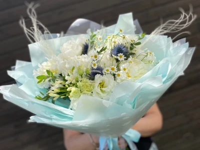 Пионамания