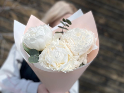 Пионы для неё