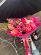 С пионами Шарм 1